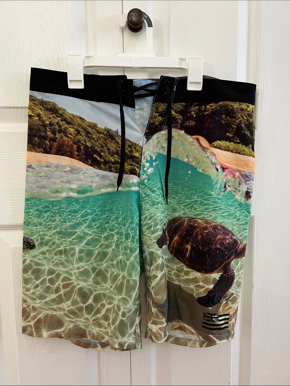 Clark Little Hawaii Rare Hurley Board Shorts